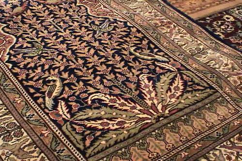 Carpet Demonstration