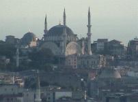 Father Bob's room view