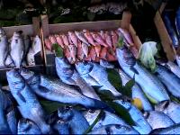 Mavi Balik Restaurant