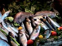 Mavi Balik Restaurant