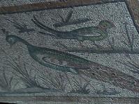 Peacock mosaic in floor