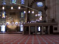 Carnation on the Carpet at Mosque of Suleyman the Magnificient